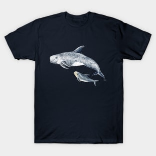 Rissos dolphin T-Shirt